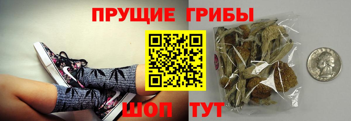Псилоцибиновые грибы MAGIC MUSHROOMS  Вход с VPN  Донской  Галлюциногенные грибы мухоморы 